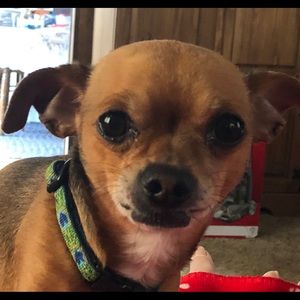 Meet your Posher, Deb